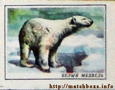 Спичечная этикетка Белый медведь